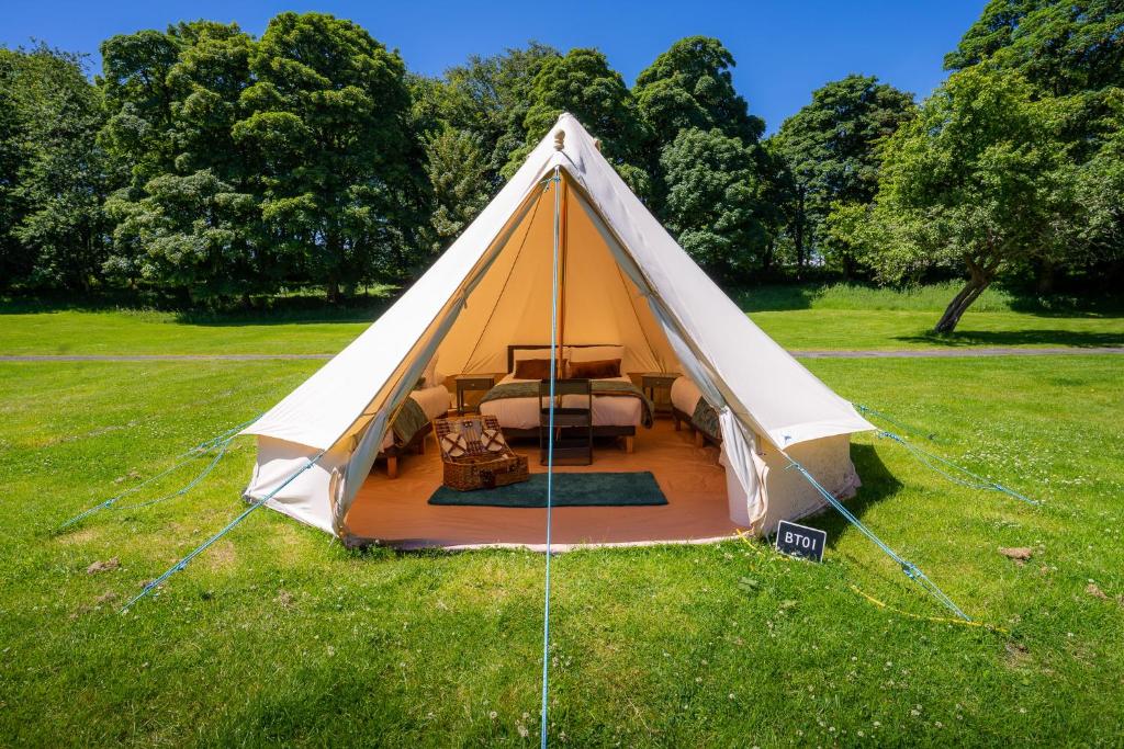 Zahrada ubytování Westport Estate Glamping Village