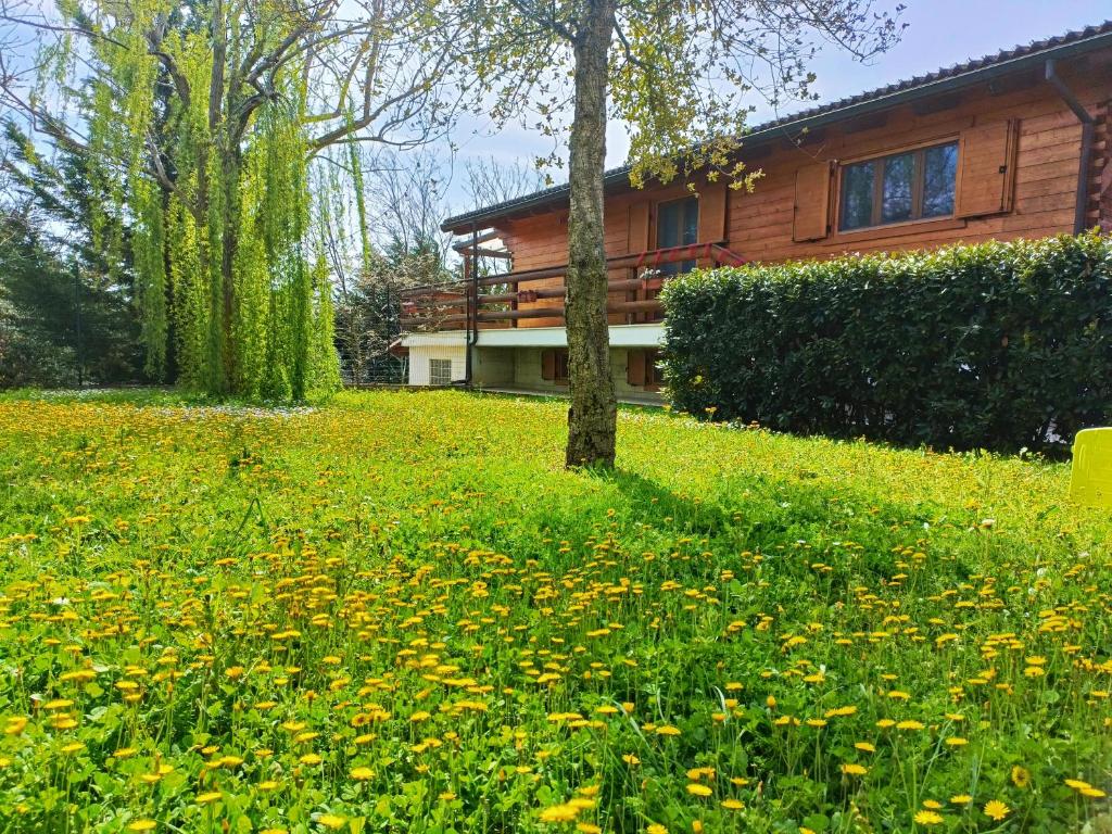 Giardino di Chalet Collalto con Piscina