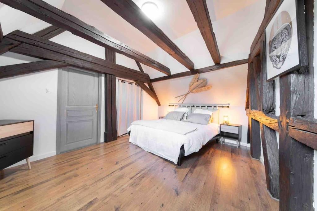 Les Lionceaux, 120m2 à Colmar, place de parking gratuite – photo 14