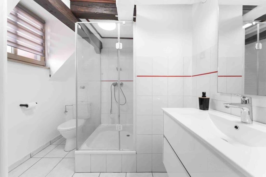 Les Lionceaux, 120m2 à Colmar, place de parking gratuite – photo 17
