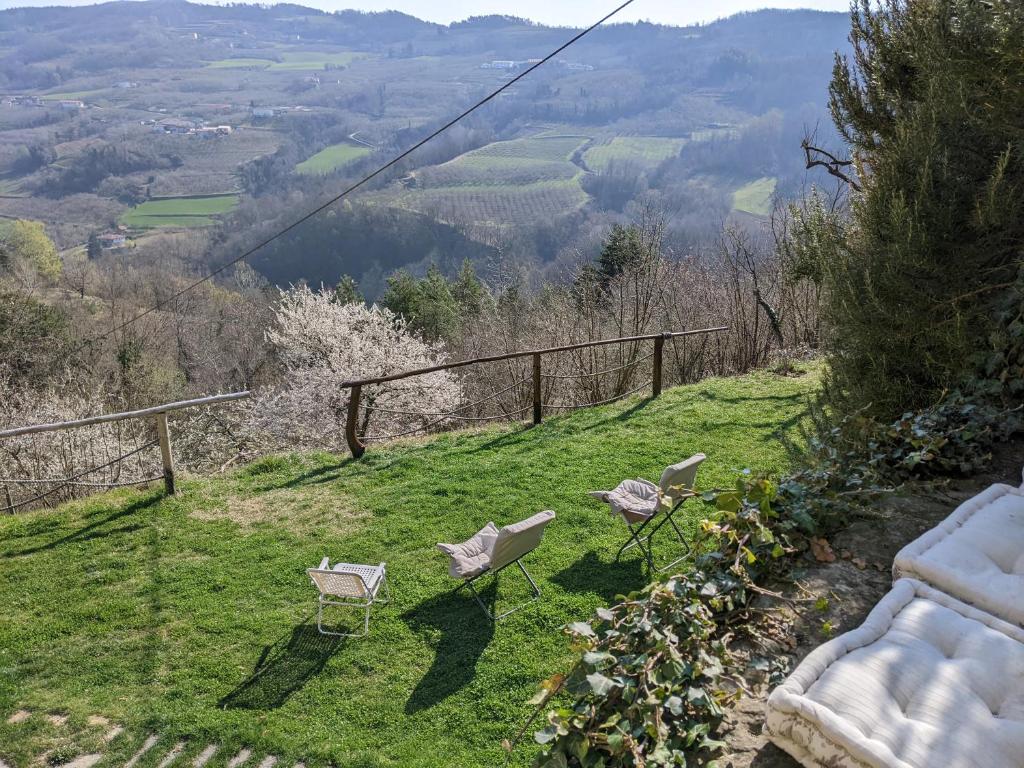 Táj Show homestays közelében