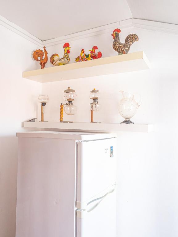 Kuchyň nebo kuchyňský kout v ubytování Collector's Home