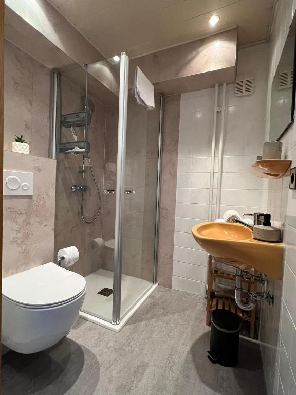 ein Bad mit einer Dusche, einem WC und einem Waschbecken in der Unterkunft Ferienhaus Möhrle 1 in Überlingen