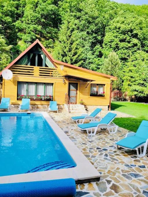 a swimming pool with chairs and a house at River House Transylvania in Frăsinet