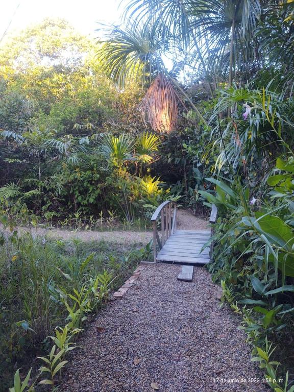 Aed väljaspool majutusasutust Glamping Amazonas