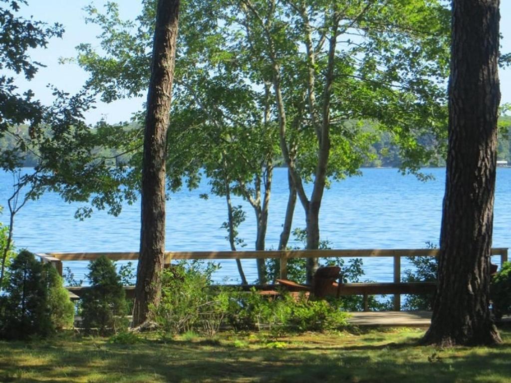 a view of a lake through the trees at 160 Long Pond Drive Harwich Cape Cod - Old Camp in Harwich