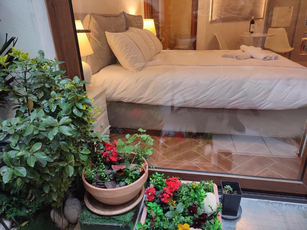 Studio Apollonia - 12