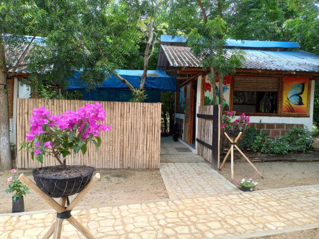 une maison avec une plante en pot devant elle dans l'établissement Finca Ecoturistica LOS JAGUEYES, à Baraya