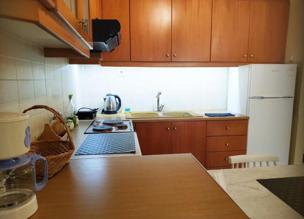 A kitchen or kitchenette at OSCAR STUDIO KALAMATA city centre