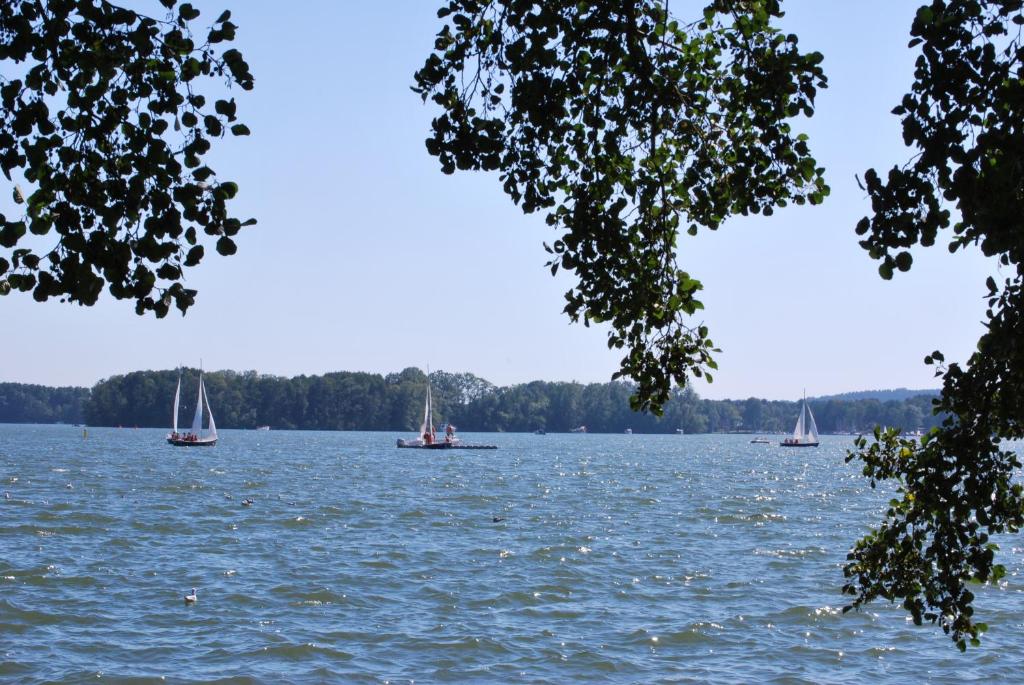three boats on a lake with trees in the background at Haus Waldfrieden in Bad Saarow