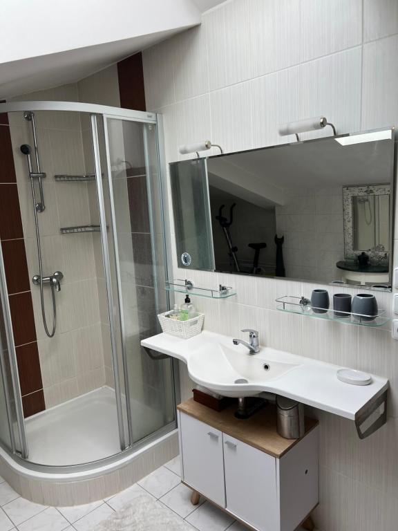 a bathroom with a sink and a shower and a mirror at Apartmán Lidická in Karlovy Vary
