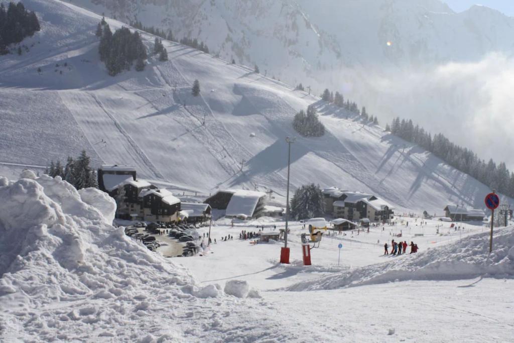 Aravis v zimě