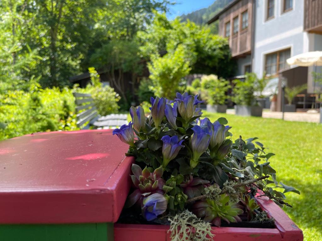 A garden outside Gasthof Scherer