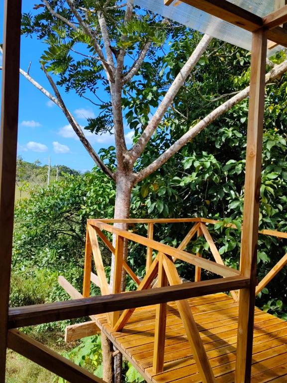 Zahrada ubytování Onca Tours & Treehouses