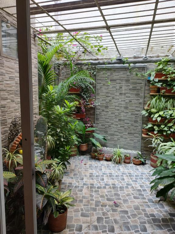 Zahrada ubytování Noras Homestay Laureles