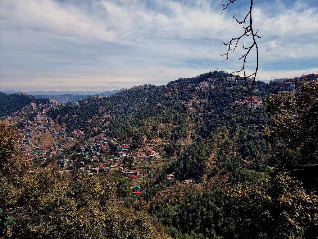 Blick auf eine Stadt auf einem Berg in der Unterkunft A1 B&B shimla in Shimla