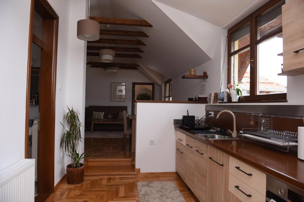 Kuchyň nebo kuchyňský kout v ubytování Seosko turističko domaćinstvo Kajsija