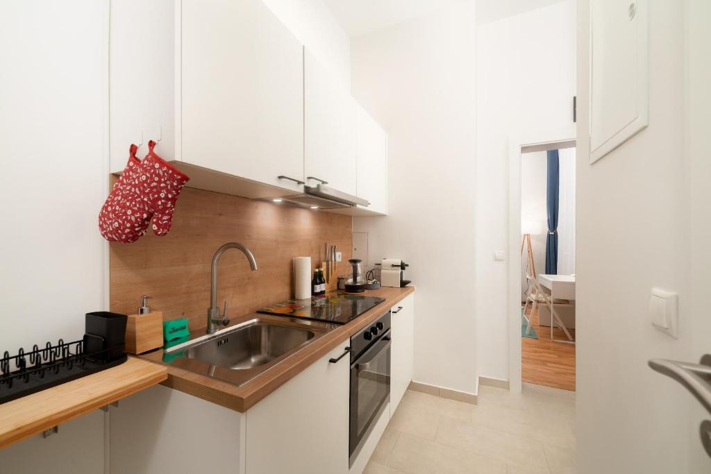 Kuchyňa alebo kuchynka v ubytovaní MALIXA - Apartment in the heart of Vienna next to Metro