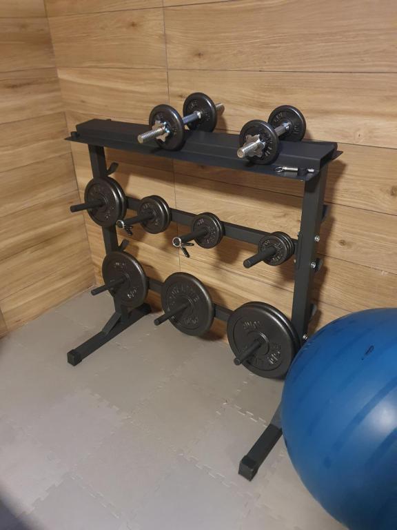 Fitness centrum a/nebo fitness zařízení v ubytování Villa Mariel Lago Maggiore