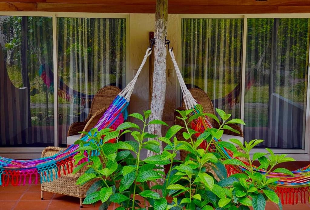 Zahrada ubytování Enchanted Galapagos Lodge
