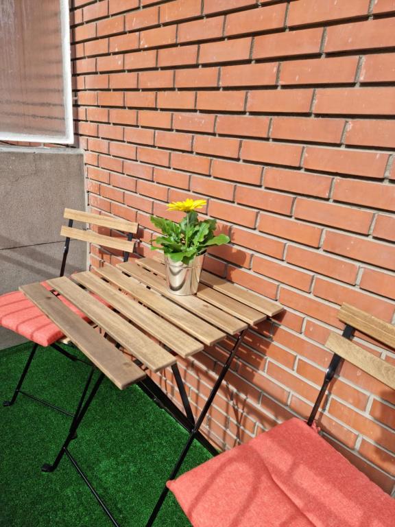 Casa Roman SPORT - 12