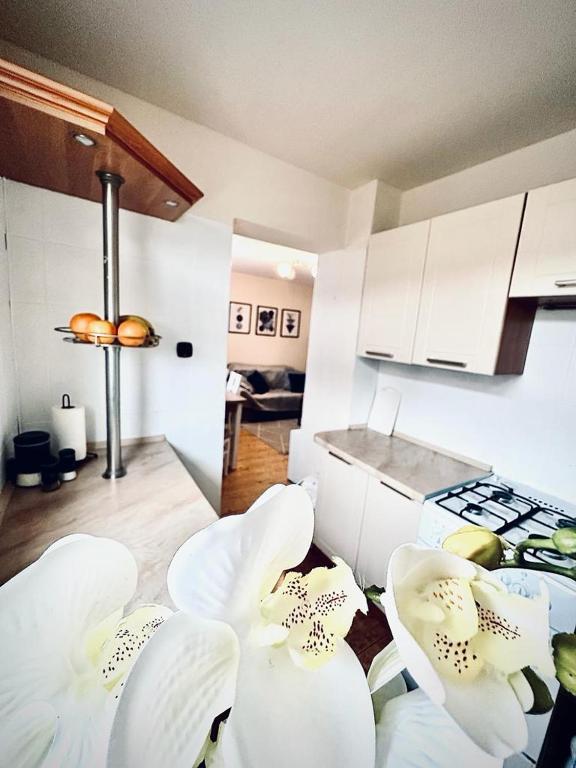 Ogrodowy Apartament - 19