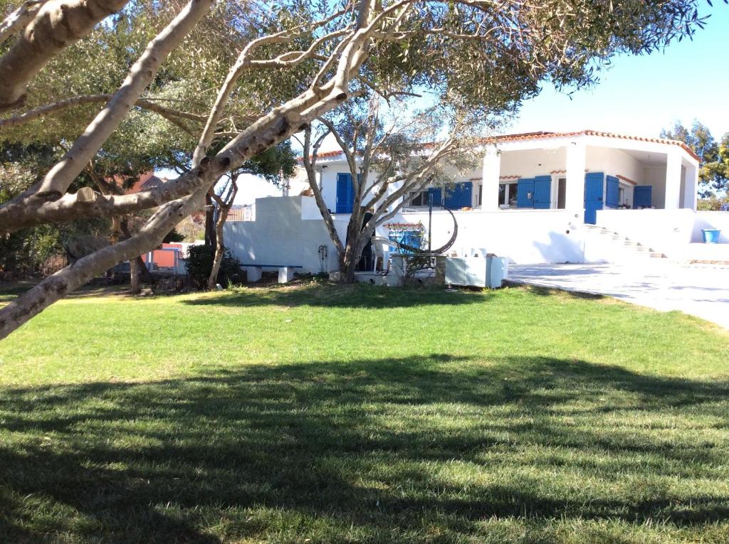 un cortile con un albero e una casa di Domus de Diana a Olbia