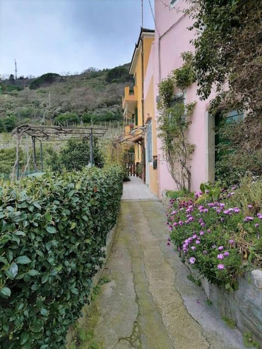 a small alley with flowers next to a building at Casa Ninetta, tra mare e natura. in Finale Ligure