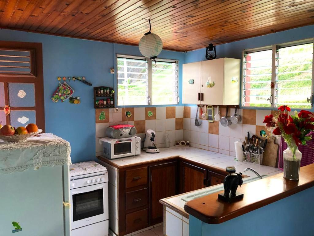 a kitchen with blue walls and a white stove top oven at Maison de 2 chambres avec vue sur la mer spa et jardin clos a Le Robert a 6 km de la plage in Le Robert