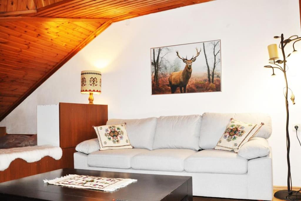 a living room with a white couch and a deer on the wall at Cozy Loft with Fireplace & View in Metsovo