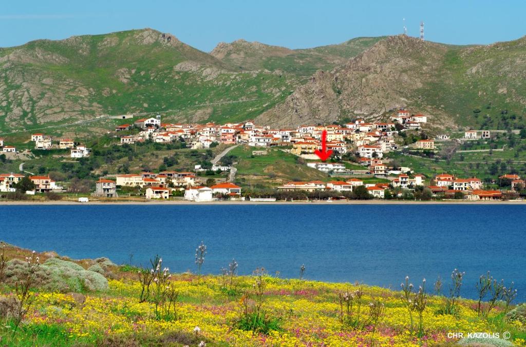 a small town on a hill next to a body of water at Panorama Plati in Platy