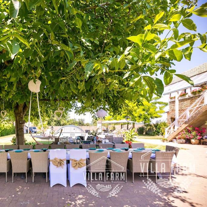 Vonkajšia záhrada v ubytovaní Teljes VillaFarm - 23 fő részére
