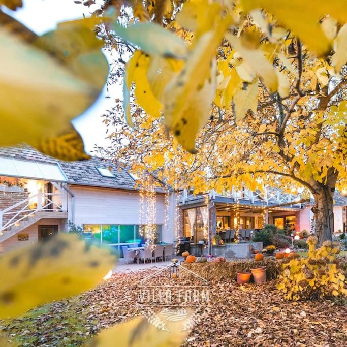 Vonkajšia záhrada v ubytovaní Teljes VillaFarm - 23 fő részére