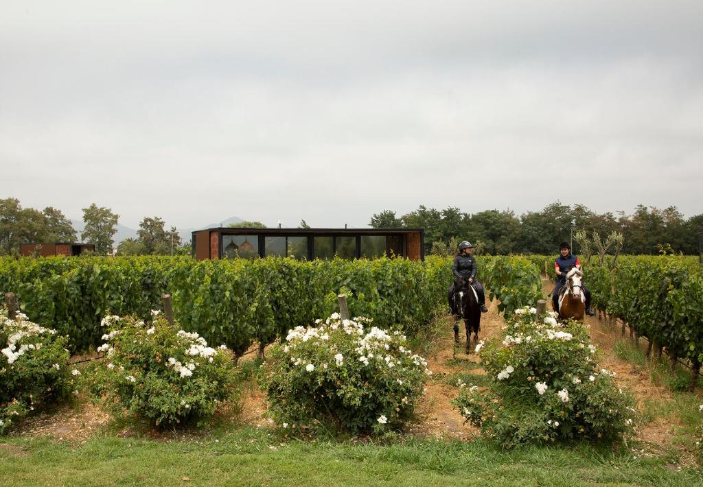 Hosté ubytování Vibo Wine Lodge At Viu Manent