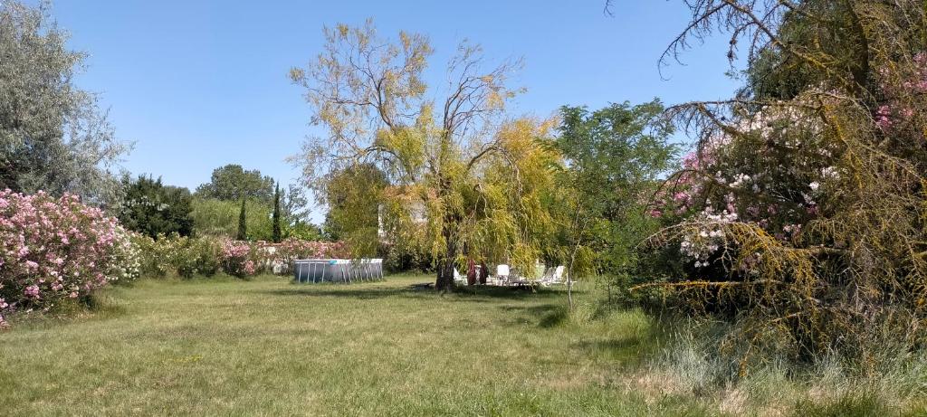 Vonkajšia záhrada v ubytovaní Mas des Marbres Sauvages dans un parc immense à 10mn de la plage
