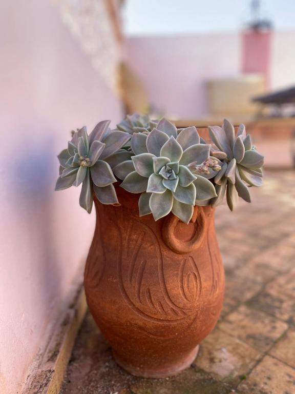 Fotografie z fotogalerie ubytování Dar Sam - Pacha Room v destinaci Rabat