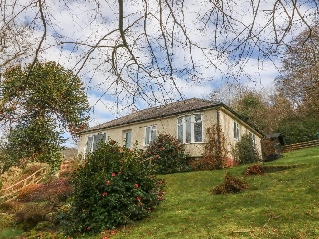 Bron Aber, Arthog (updated prices 2024)