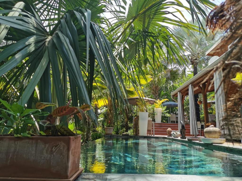 - une piscine bordée de palmiers à côté d'une maison dans l'établissement Lodge Palmae, à Saint-Pierre