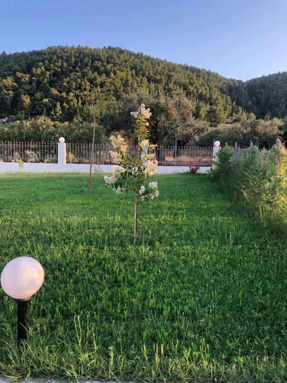 Be Happy Apartments - 9