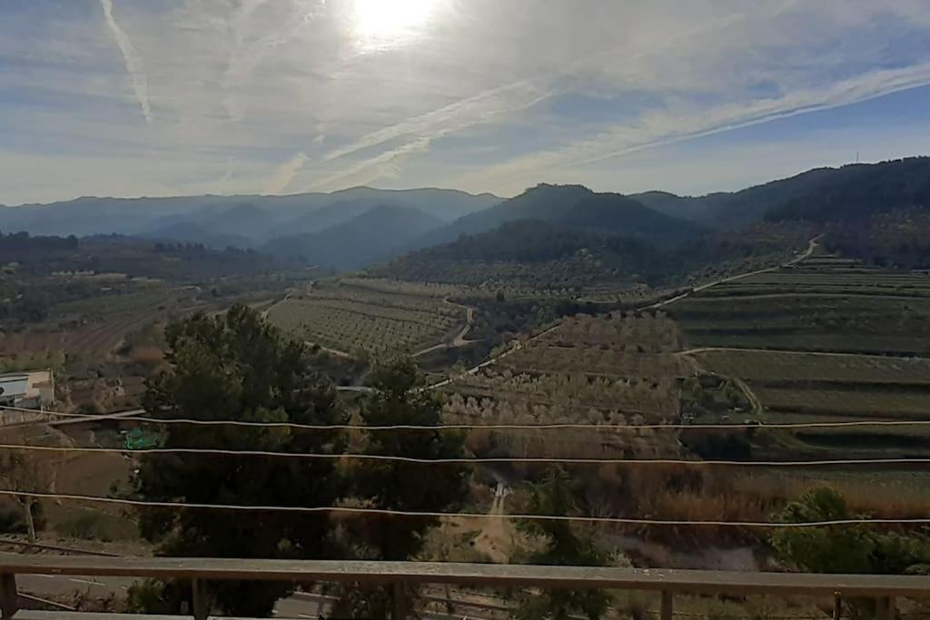 Ca l'Aleixa في Bisbal de Falset: اطلالة على مزارع العنب مع الشمس في الخلفية