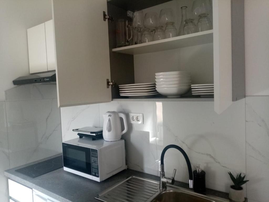 Dapur atau dapur kecil di Apartman TONKOVIĆ