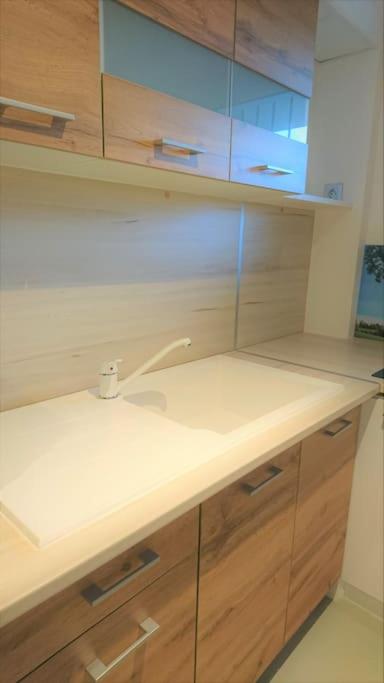 a kitchen counter with a sink and wooden cabinets at Au Coeur du Jura, Logement au calme in Champagnole