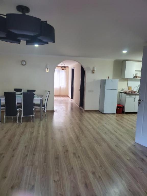 Kuchyň nebo kuchyňský kout v ubytování DIOSKURIA BORJOMi