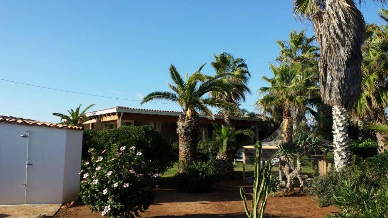 Zahrada ubytování Villa delle palme