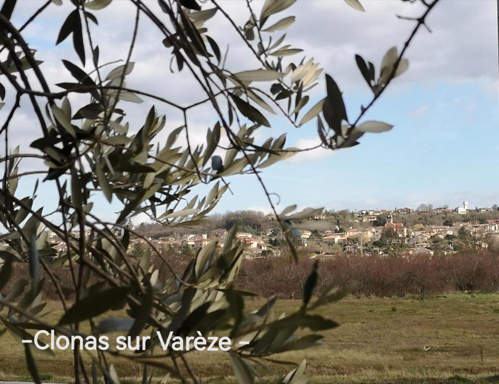 a view of a city from a tree at comme à la maison in Clonas-sur-Varèze