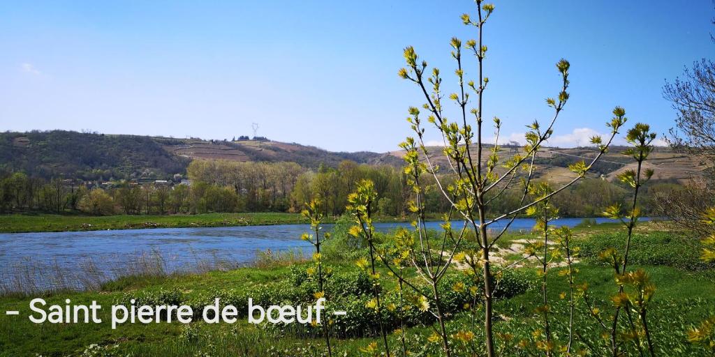 a river with the words sint pierre de bedoit at comme à la maison in Clonas-sur-Varèze