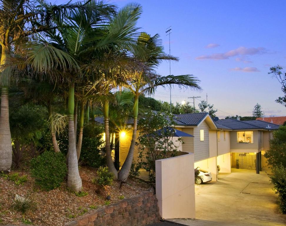a large palm tree in the middle of a residential area at Tiarri Terrigal in Terrigal