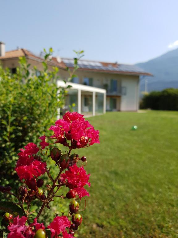Locanda de l Arguta