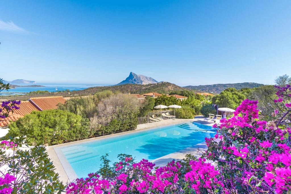una villa con piscina con fiori viola di Residence Hotel Lu Nibareddu a San Teodoro