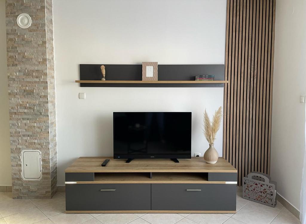 TV a/nebo společenská místnost v ubytování Apartments Elvira